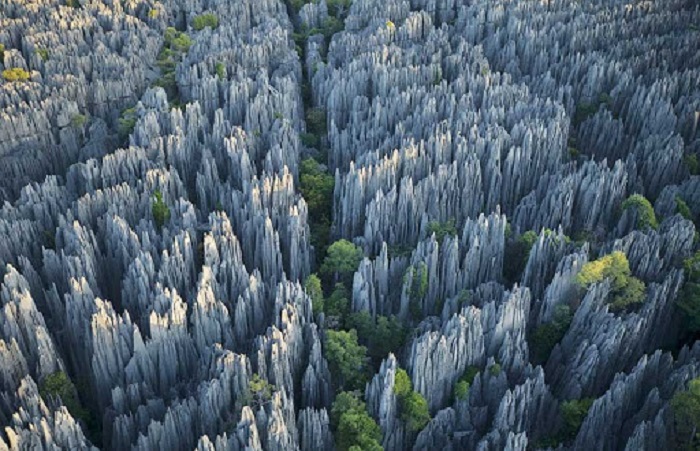 جنگل سنگی یونان در چین